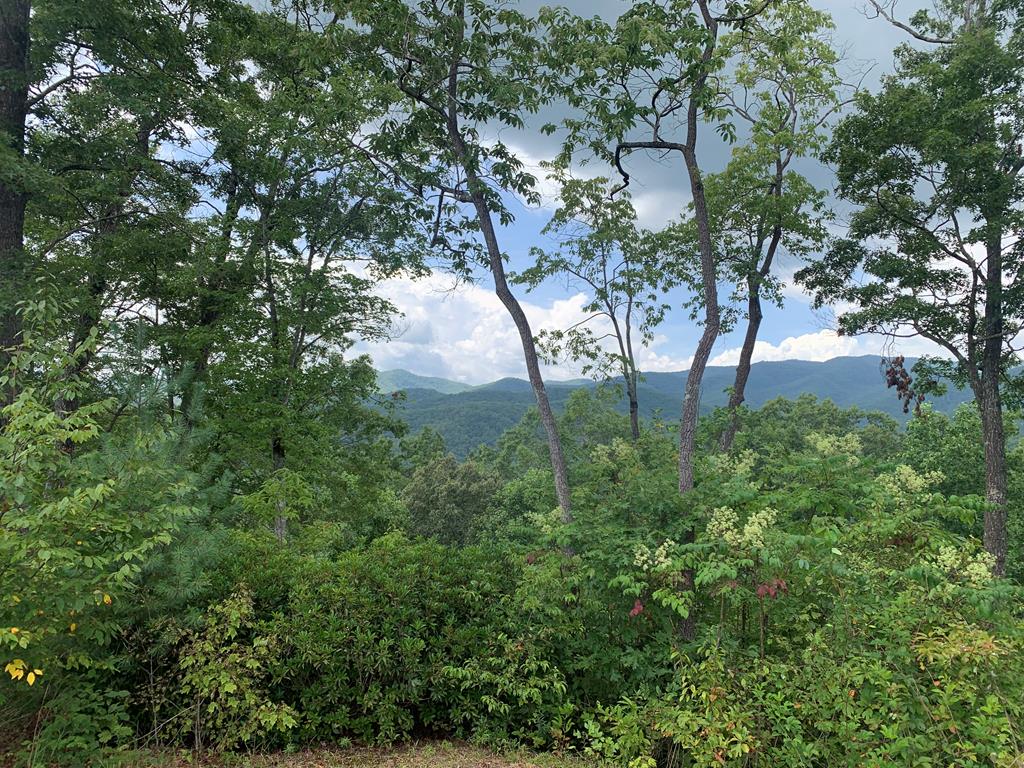 44-45 Silo View Marble, NC 28905 - Photo 28 of 38 a view of forest