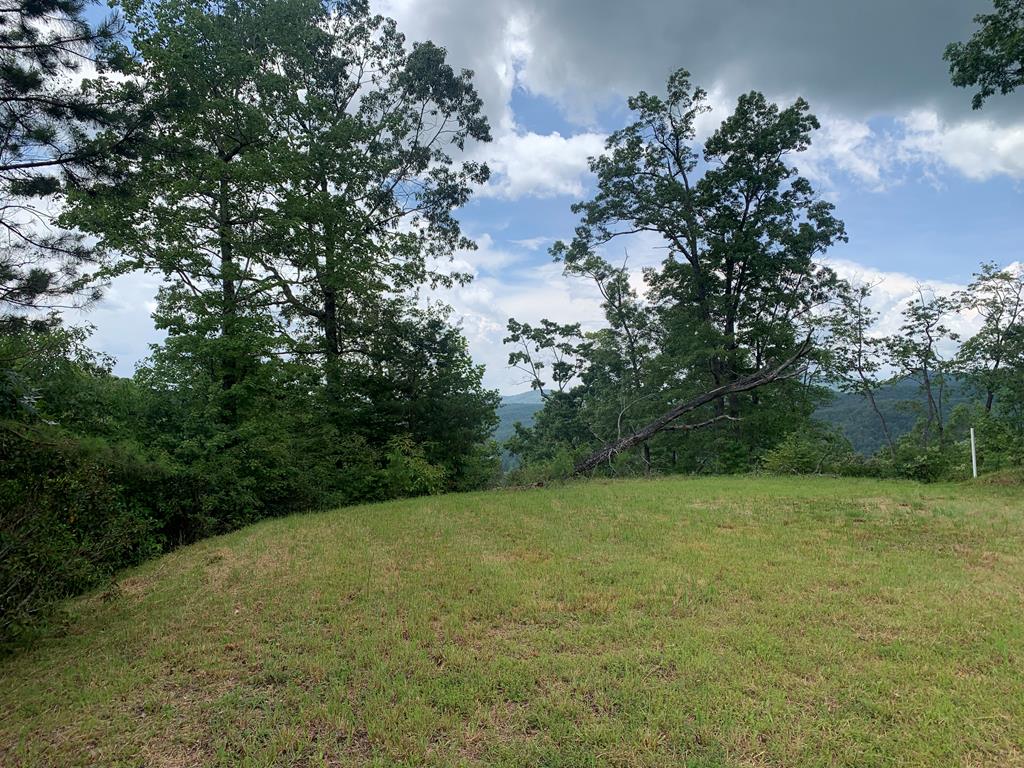 44-45 Silo View Marble, NC 28905 - Photo 29 of 38 a view of a yard with a tree