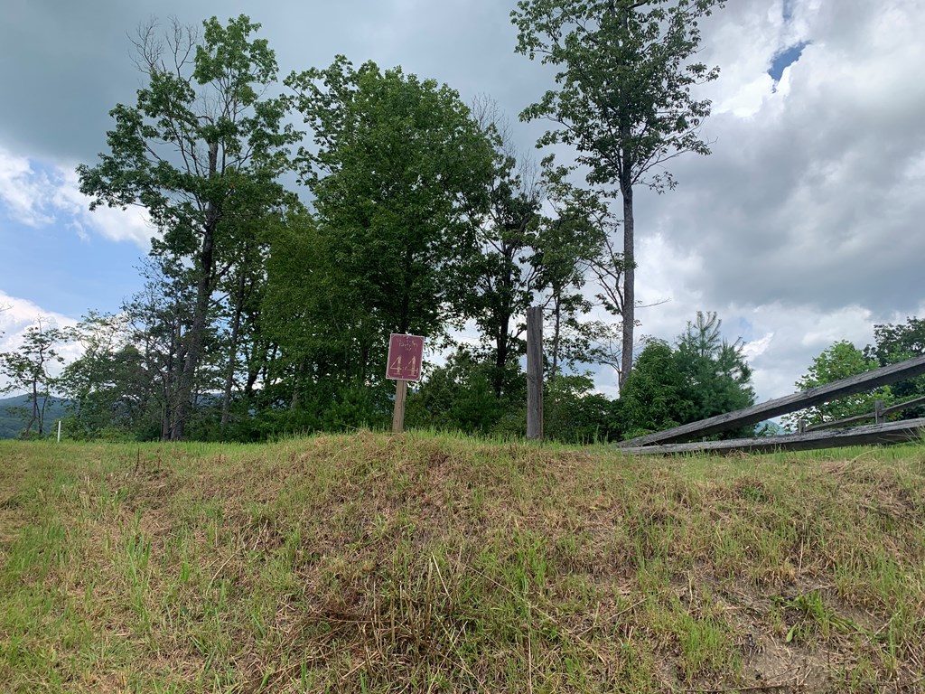 44-45 Silo View Marble, NC 28905 - Photo 30 of 38 a backyard of a house with lots of green space