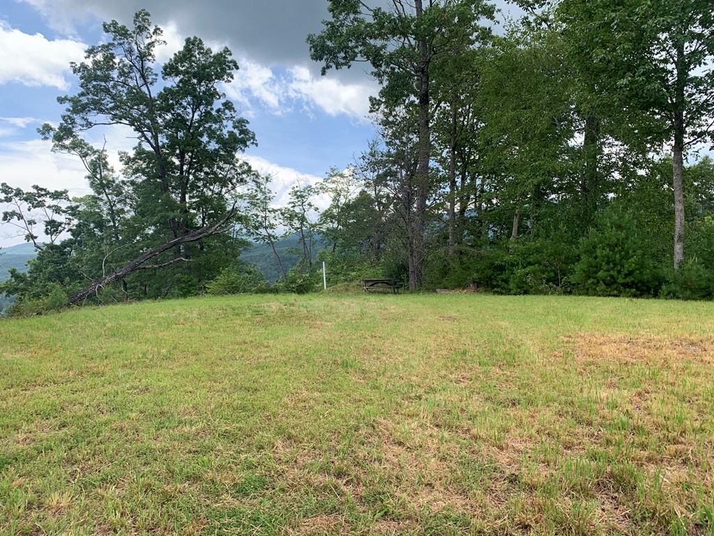 44-45 Silo View Marble, NC 28905 - Photo 31 of 38 a view of outdoor space and yard