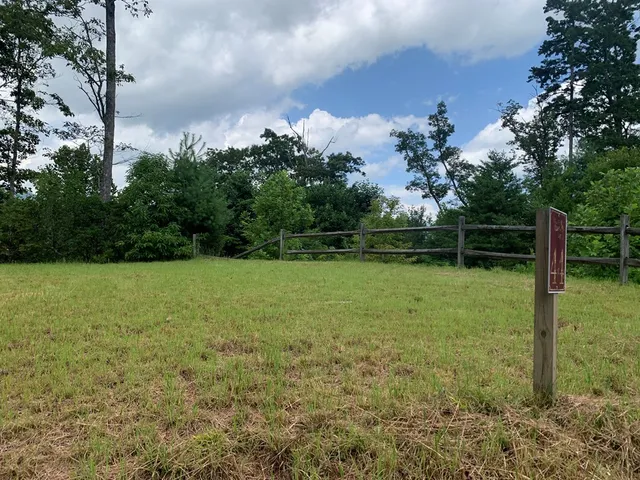 a view of outdoor space with deck and yard