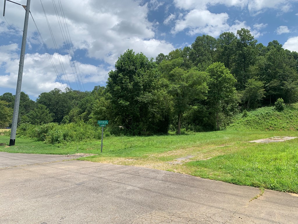 44-45 Silo View Marble, NC 28905 - Photo 36 of 38 a view of a field with a big yard