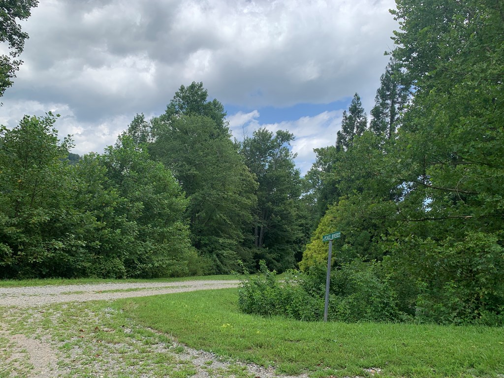 44-45 Silo View Marble, NC 28905 - Photo 37 of 38 a view of a grassy field with trees in the background