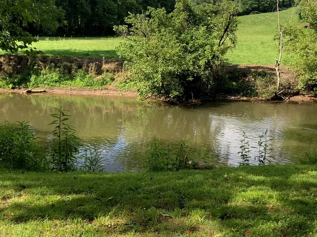 a view of a lake with a yard and trees