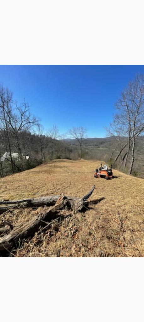 44-45 Silo View Marble, NC 28905 - Photo 9 of 38 a view of ocean view