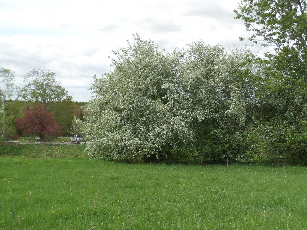 307 Razorville Road Washington, ME 04574 - Photo 12 of 23 Photo