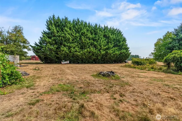 a view of yard with tree in back