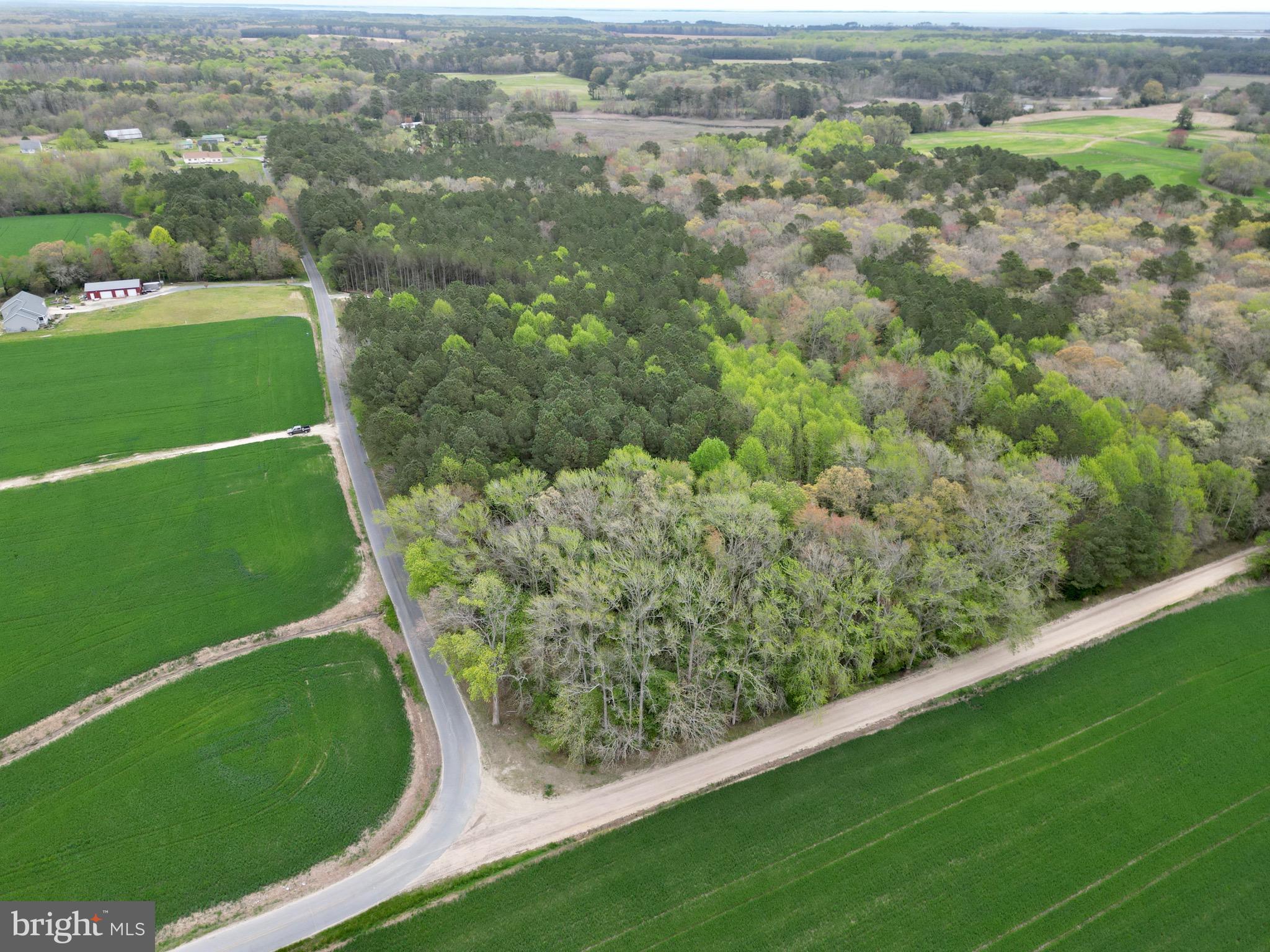 0 Truitts Landing Road Girdletree, MD 21829 - Photo 1 of 12 Gallery Image 1