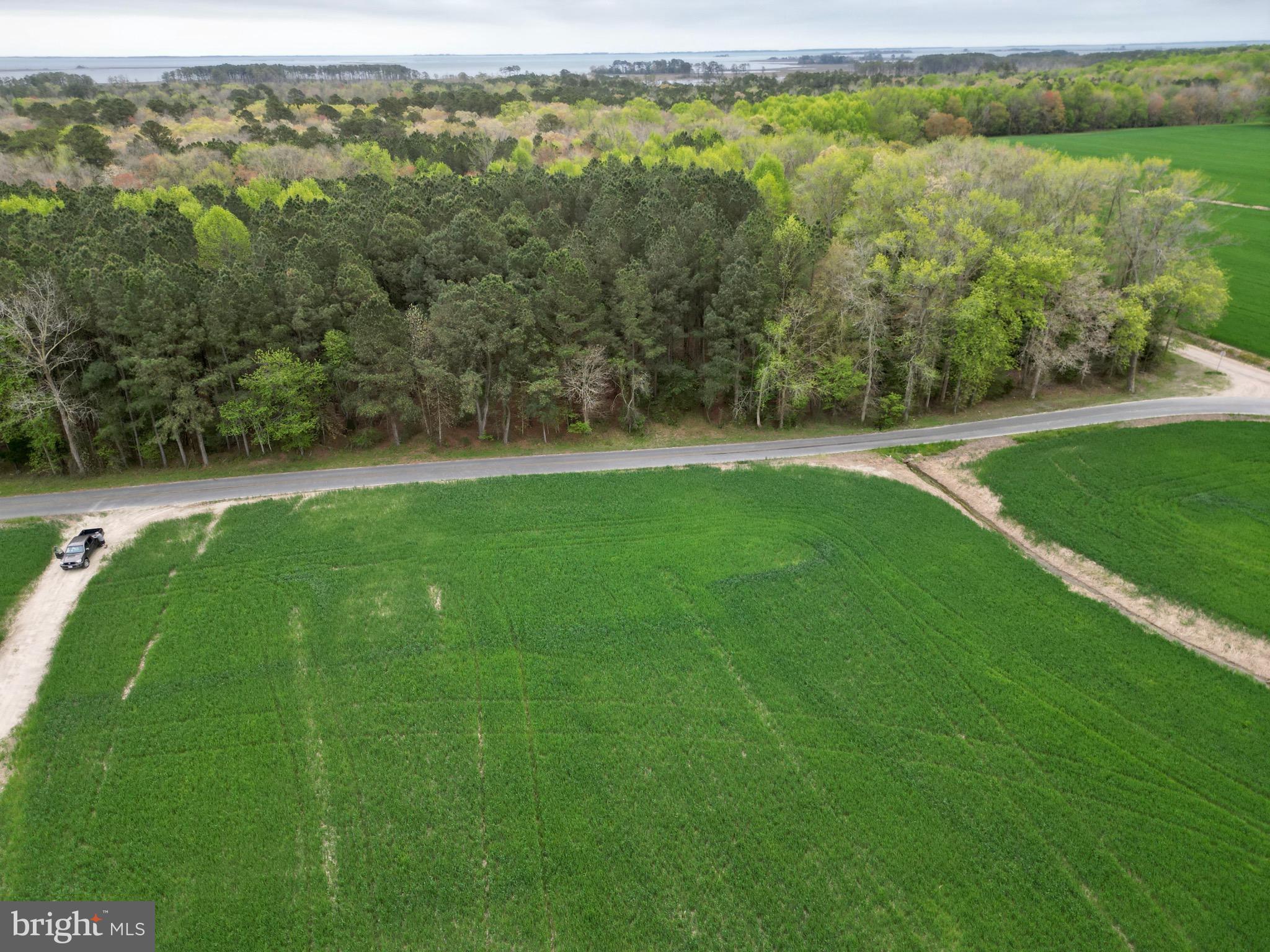 0 Truitts Landing Road Girdletree, MD 21829 - Photo 11 of 12 Gallery Image 11