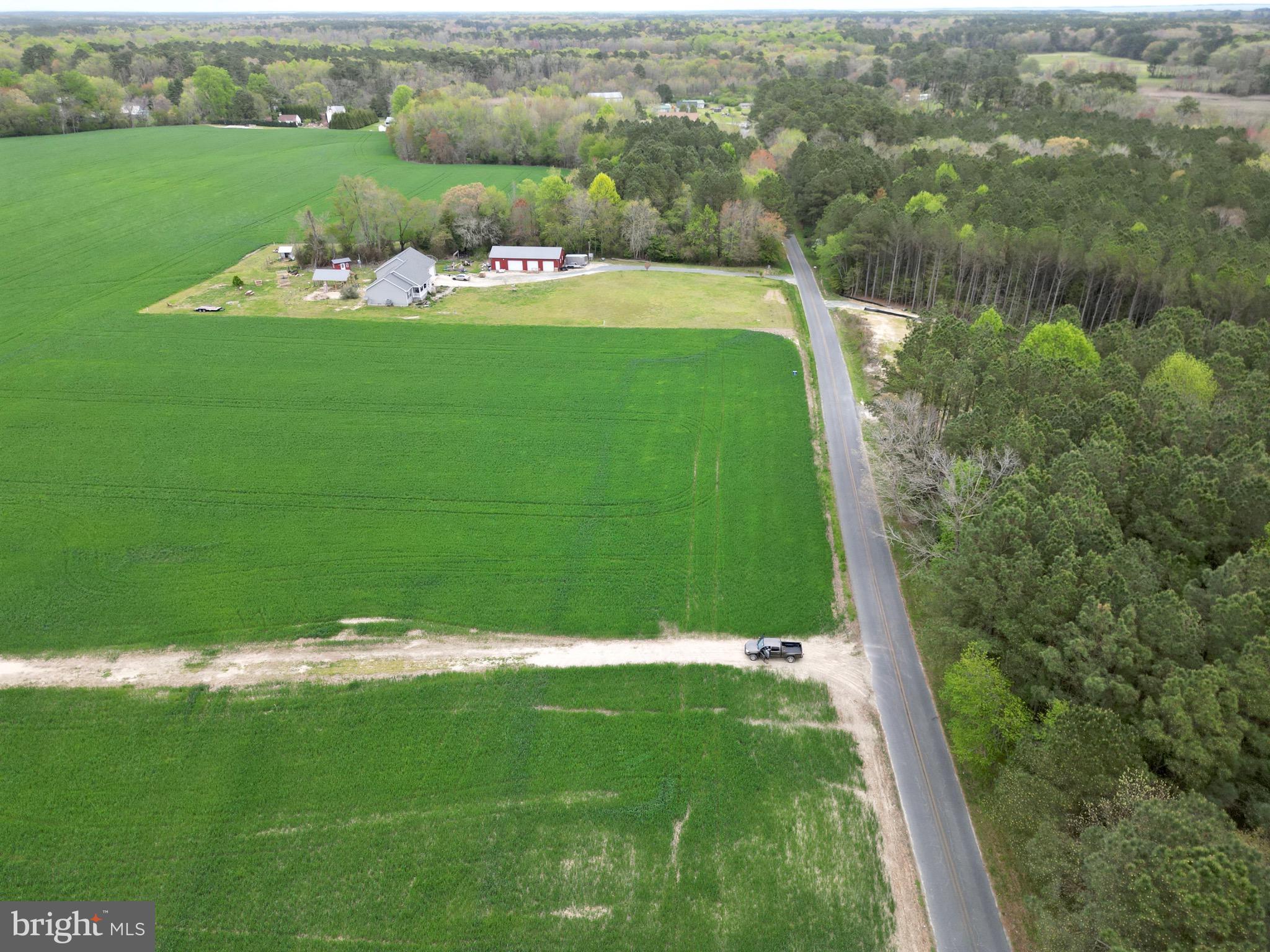 0 Truitts Landing Road Girdletree, MD 21829 - Photo 12 of 12 Gallery Image 12
