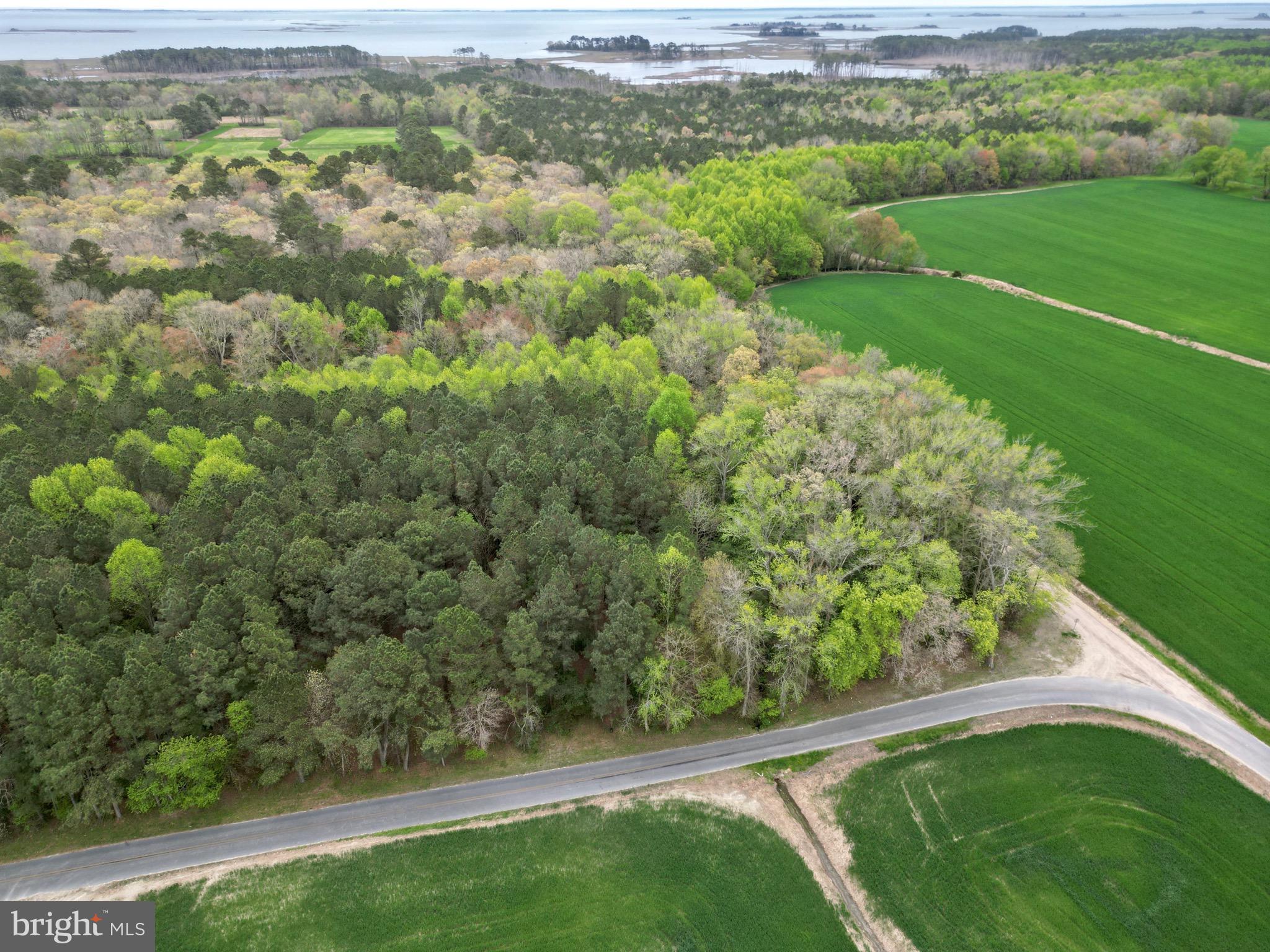 0 Truitts Landing Road Girdletree, MD 21829 - Photo 3 of 12 Gallery Image 3
