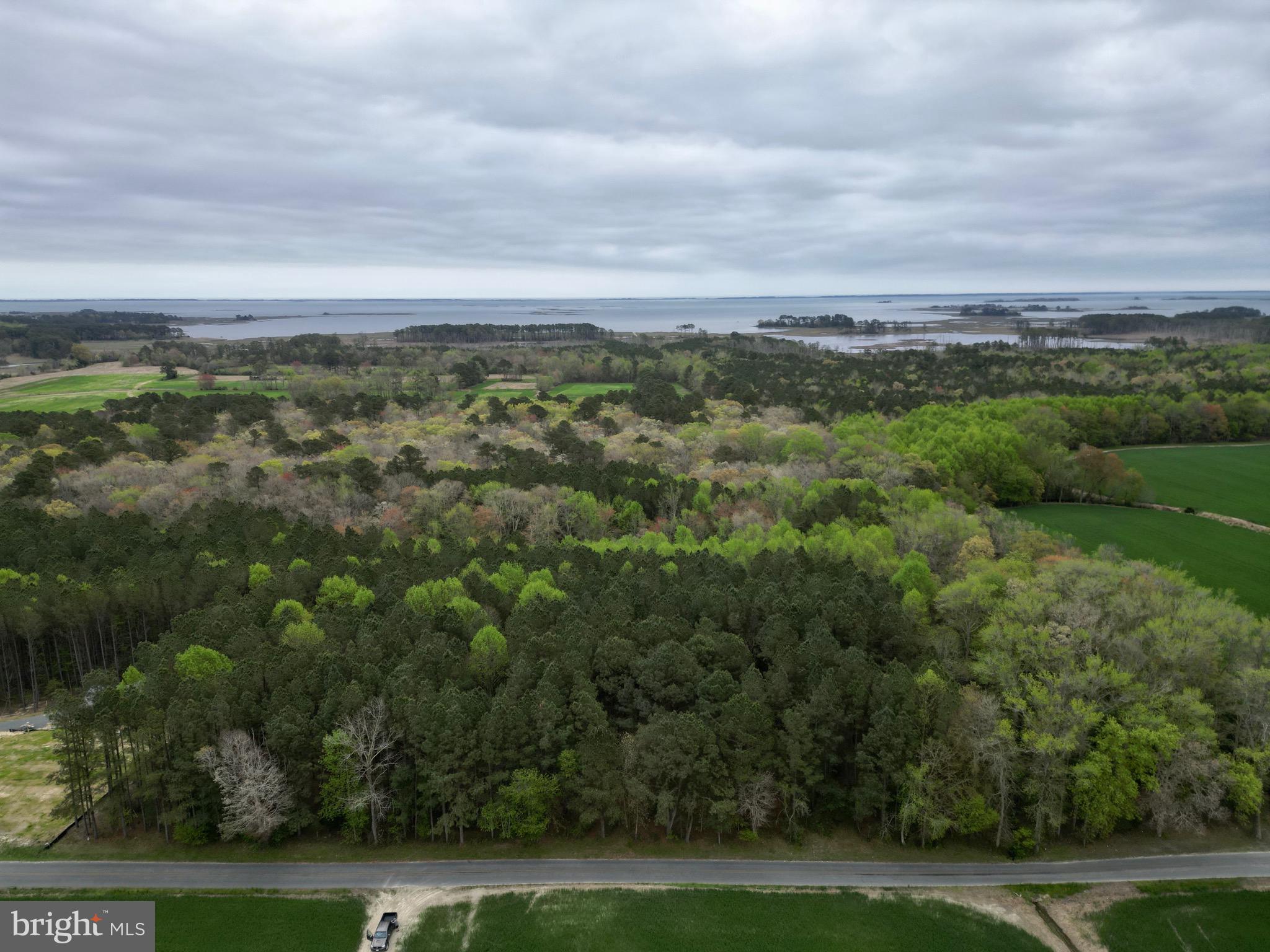 0 Truitts Landing Road Girdletree, MD 21829 - Photo 5 of 12 Gallery Image 5