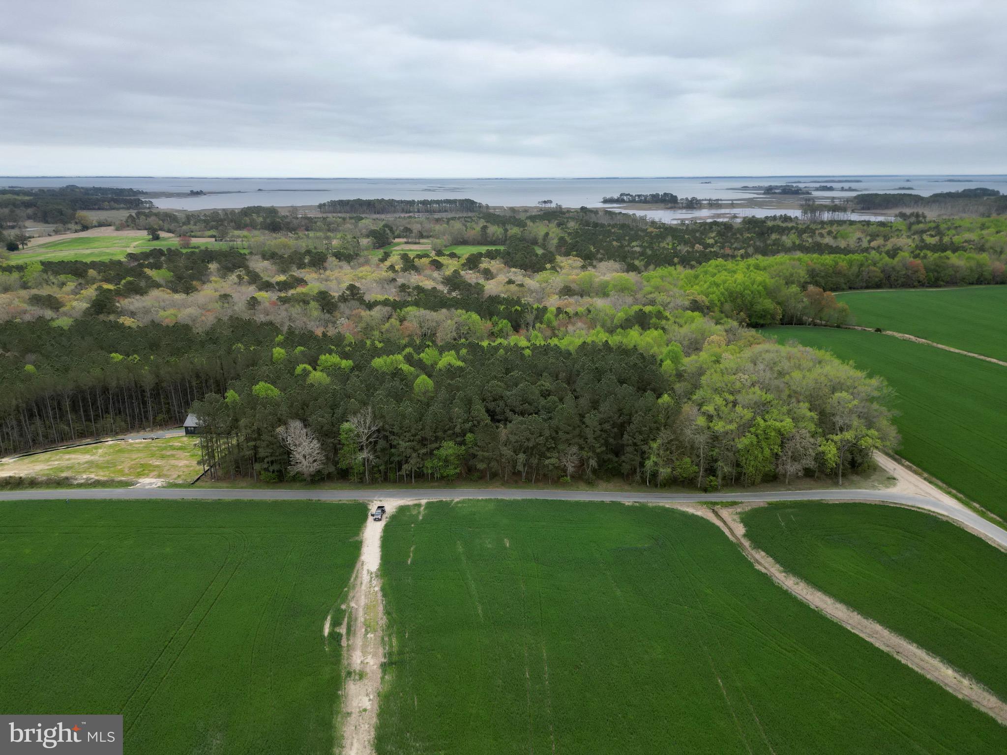 0 Truitts Landing Road Girdletree, MD 21829 - Photo 6 of 12 Gallery Image 6