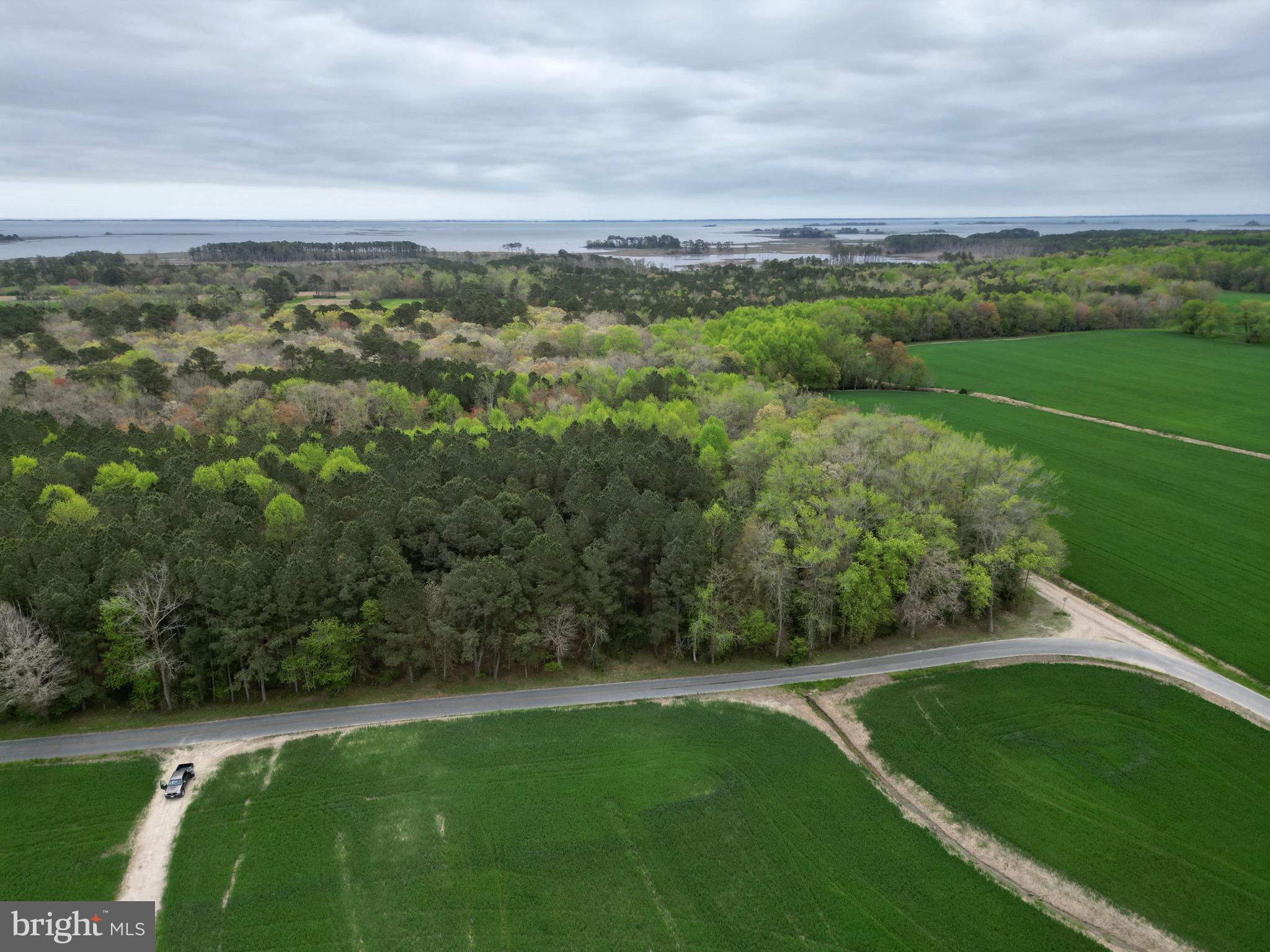 0 Truitts Landing Road Girdletree, MD 21829 - Photo 7 of 12 Gallery Image 7