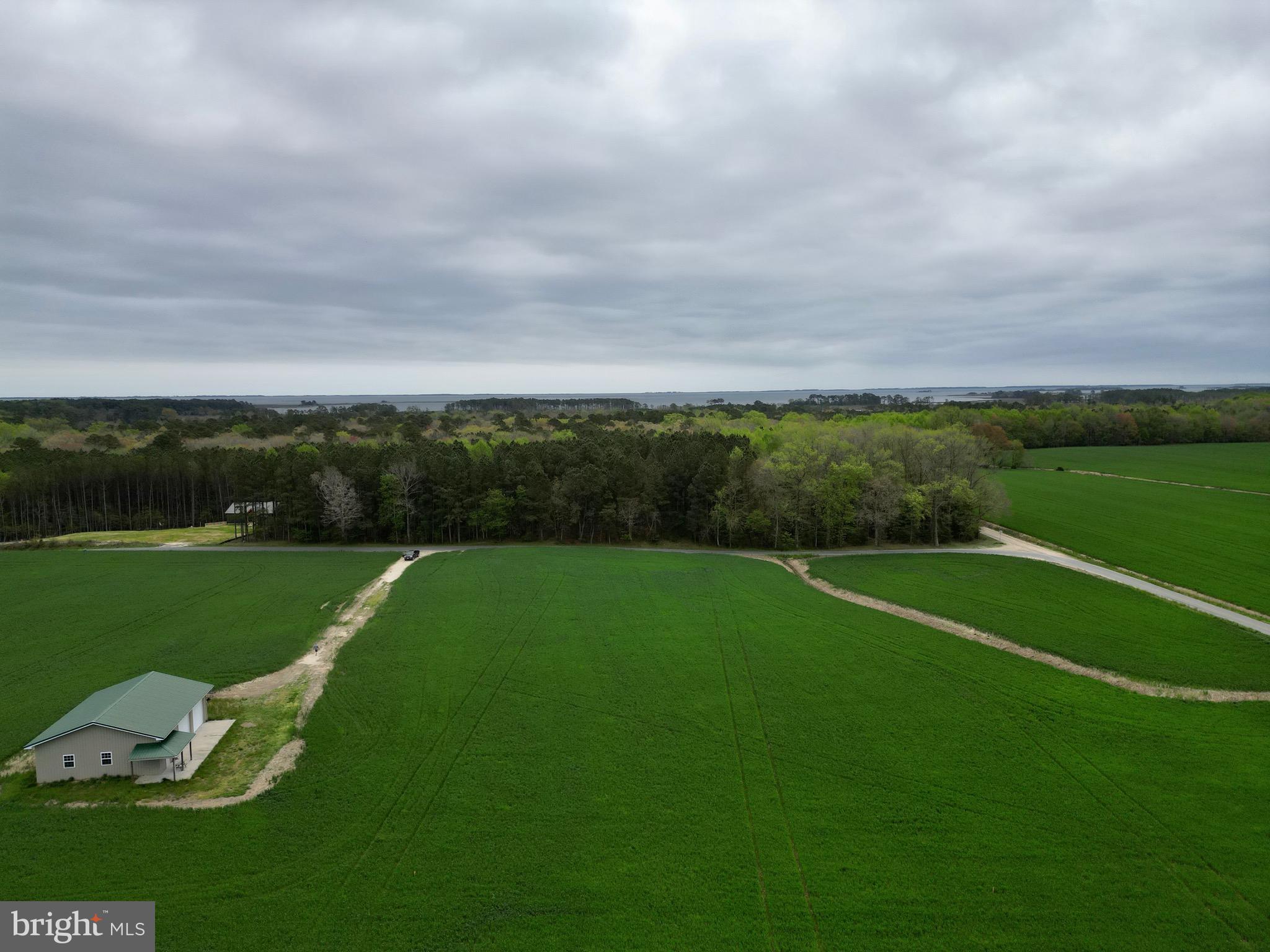0 Truitts Landing Road Girdletree, MD 21829 - Photo 9 of 12 Gallery Image 9