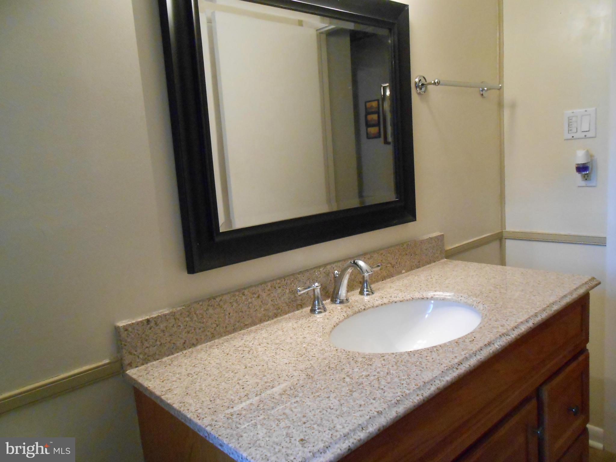 4427 Valley View Road Middletown, MD 21769 - Photo 11 of 27 Main level bath has been totally renovated