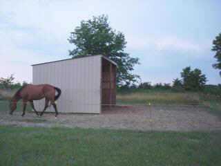 3355 Putnam Road Clarksburg, OH 43115 - Photo 3 of 7