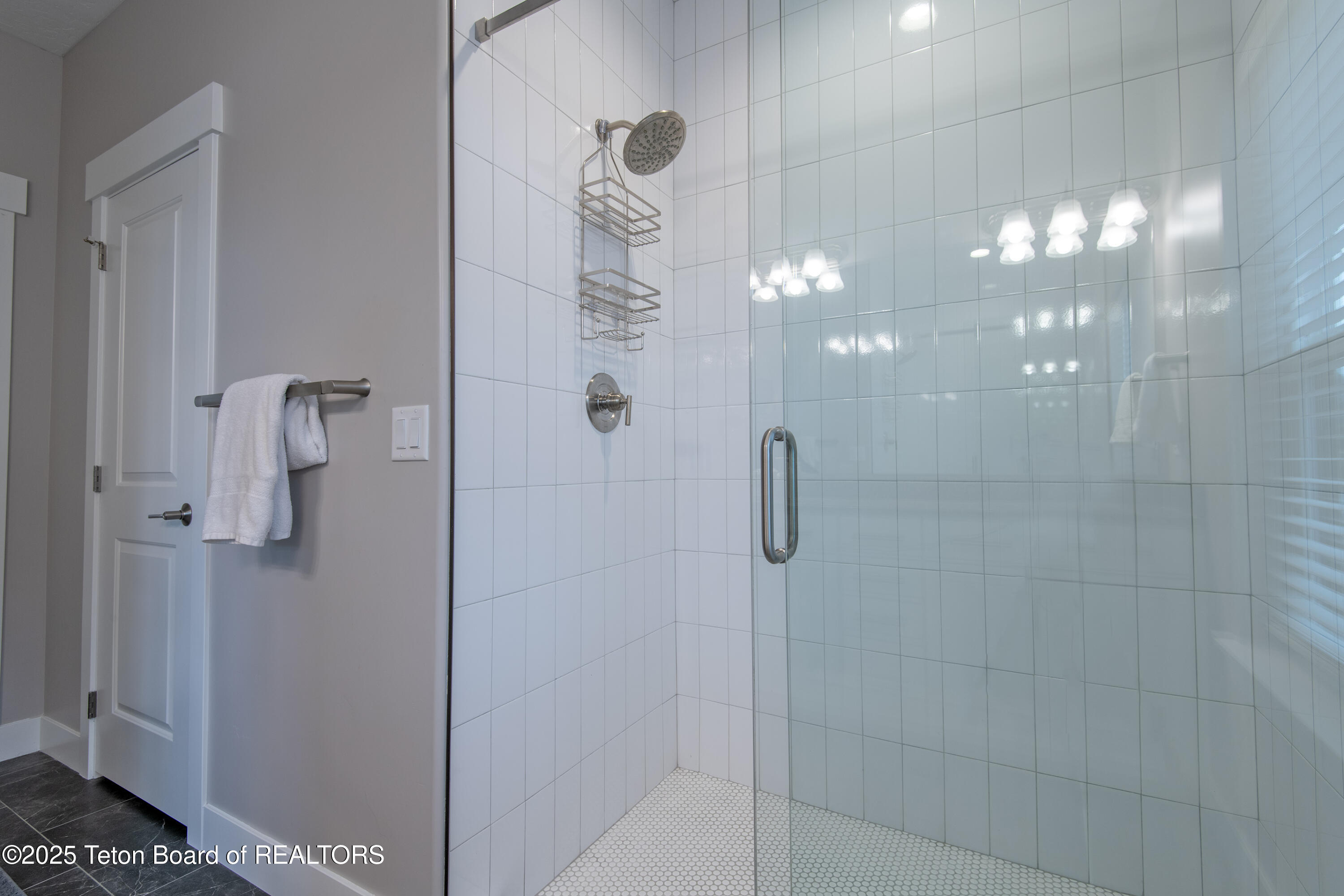 146 Swallowtail Drive Victor, ID 83455 - Photo 20 of 42 19 Primary Bathroom shower