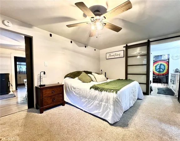 a bedroom with a bed and a walk in closet
