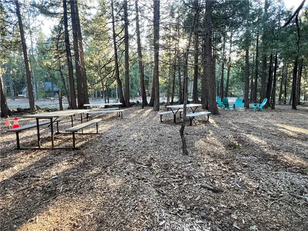 a view of a park with some trees
