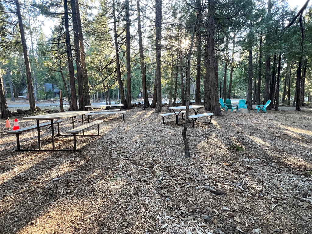 7541 Humboldt Road Butte Meadows, CA 95942 - Photo 19 of 25 a view of a park with some trees