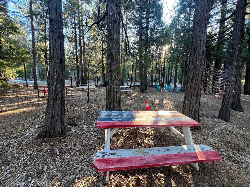 7541 Humboldt Road Butte Meadows, CA 95942 - Photo 21 of 25 a view of a backyard with sitting area