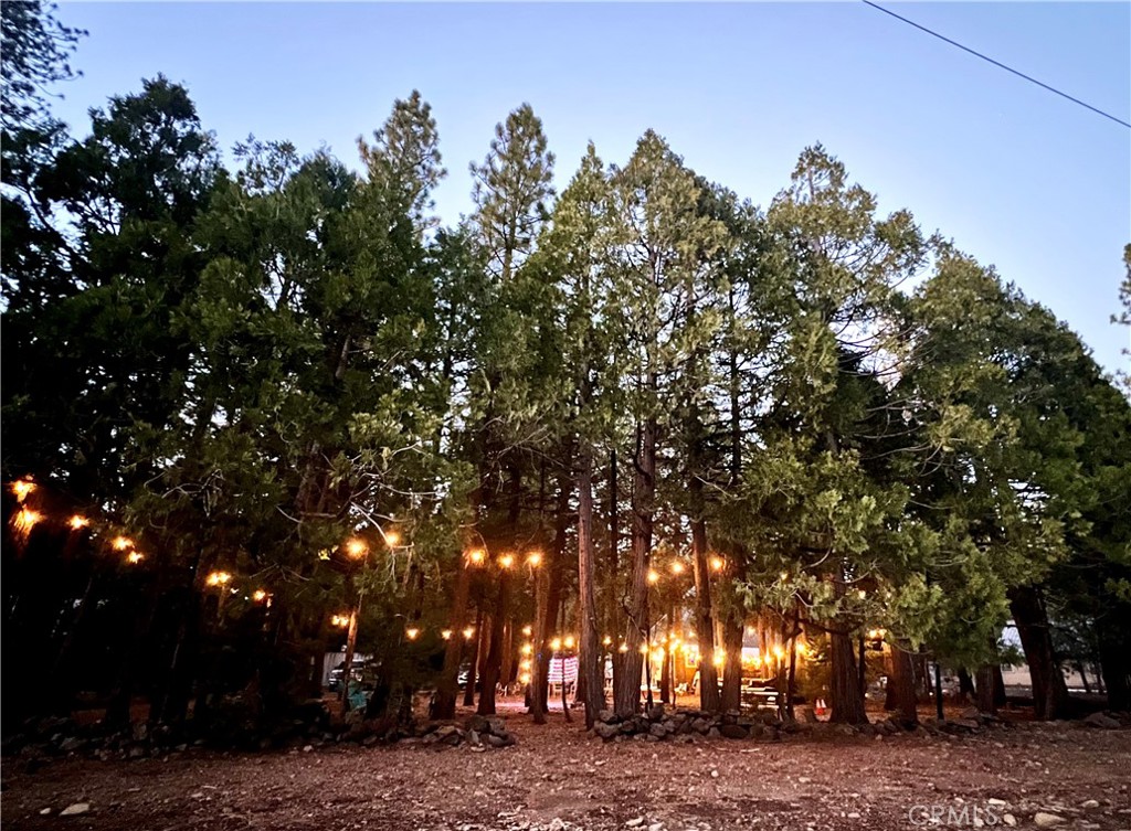 7541 Humboldt Road Butte Meadows, CA 95942 - Photo 22 of 25