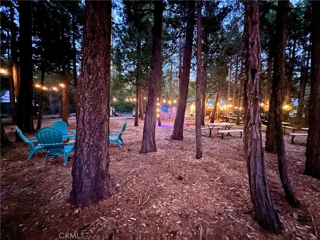 7541 Humboldt Road Butte Meadows, CA 95942 - Photo 23 of 25 a backyard of a house with lots of green space