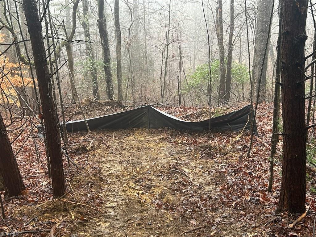 0 Whitaker Chapel Road, Unit 1 Pilot Mountain, NC 27041 - Photo 2 of 4 Smaill Pines that can be easily removed