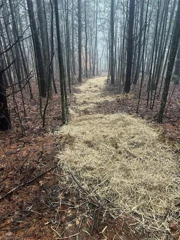 $60,000 | 0 Whitaker Chapel Road, Unit 1, Pilot Mountain, NC 27041