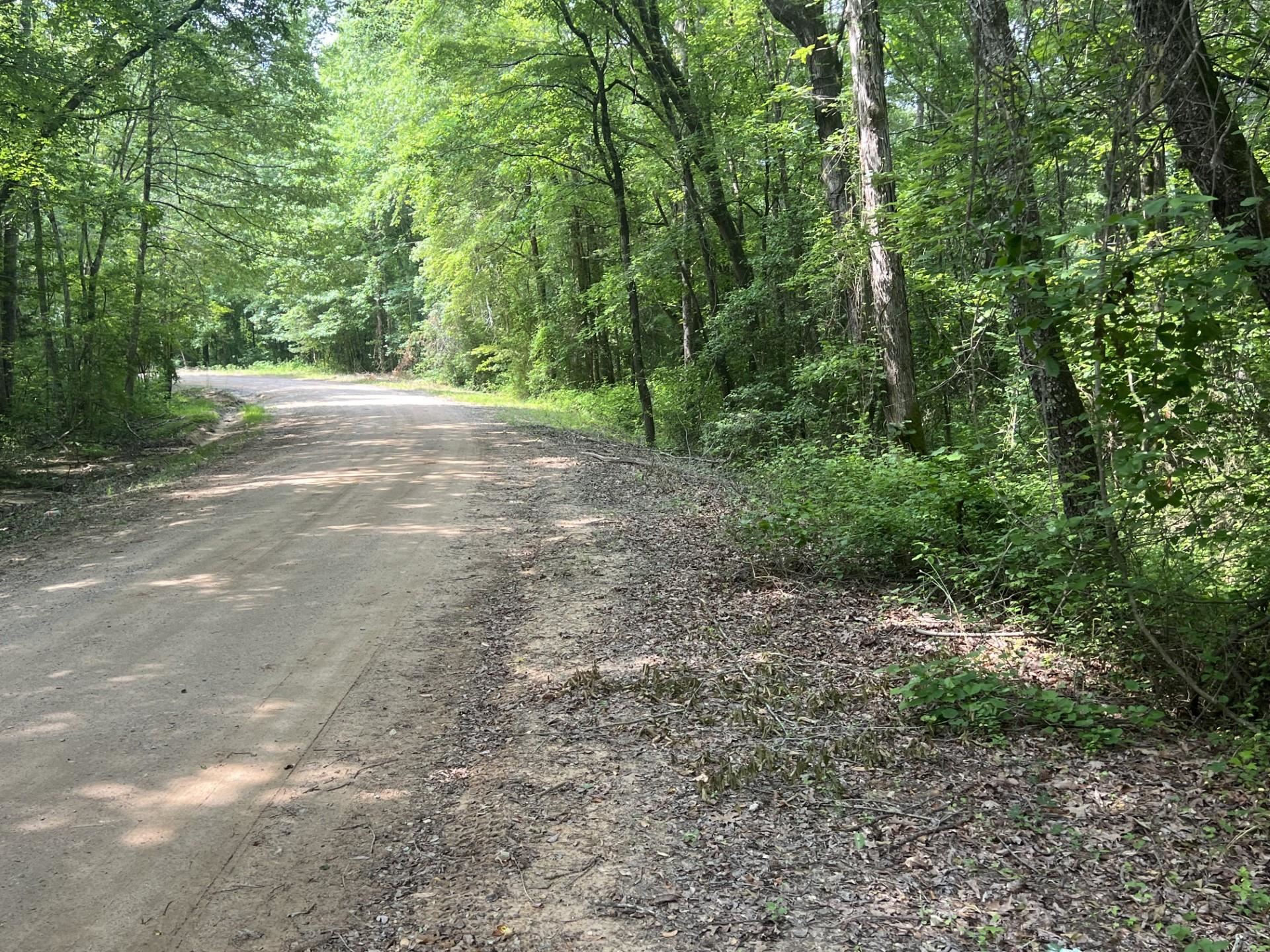 West Fork Road Middleton, TN 38052 - Photo 3 of 9 a view of outdoor space and yard
