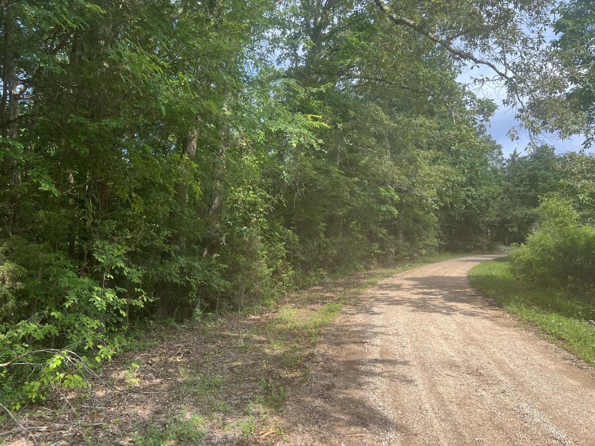 West Fork Road Middleton, TN 38052 - Photo 7 of 9 a view of a yard with a tree