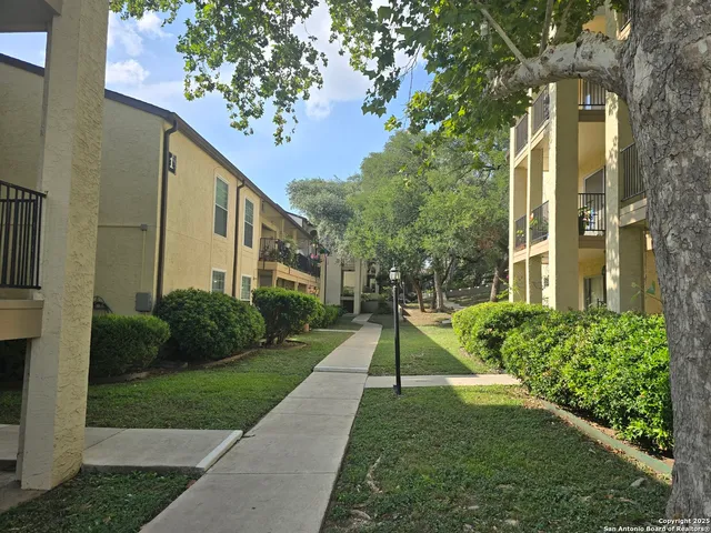 a view of a back yard of the house