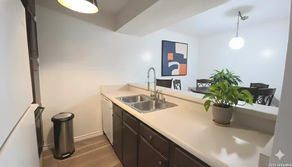 a view of a kitchen with a sink and a potted plant