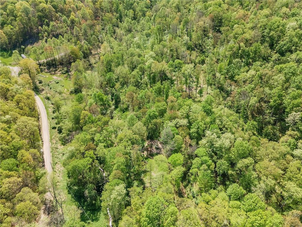 1799 Trusal Road Creekside, PA 15732 - Photo 21 of 24 a view of a big yard with plants and large trees