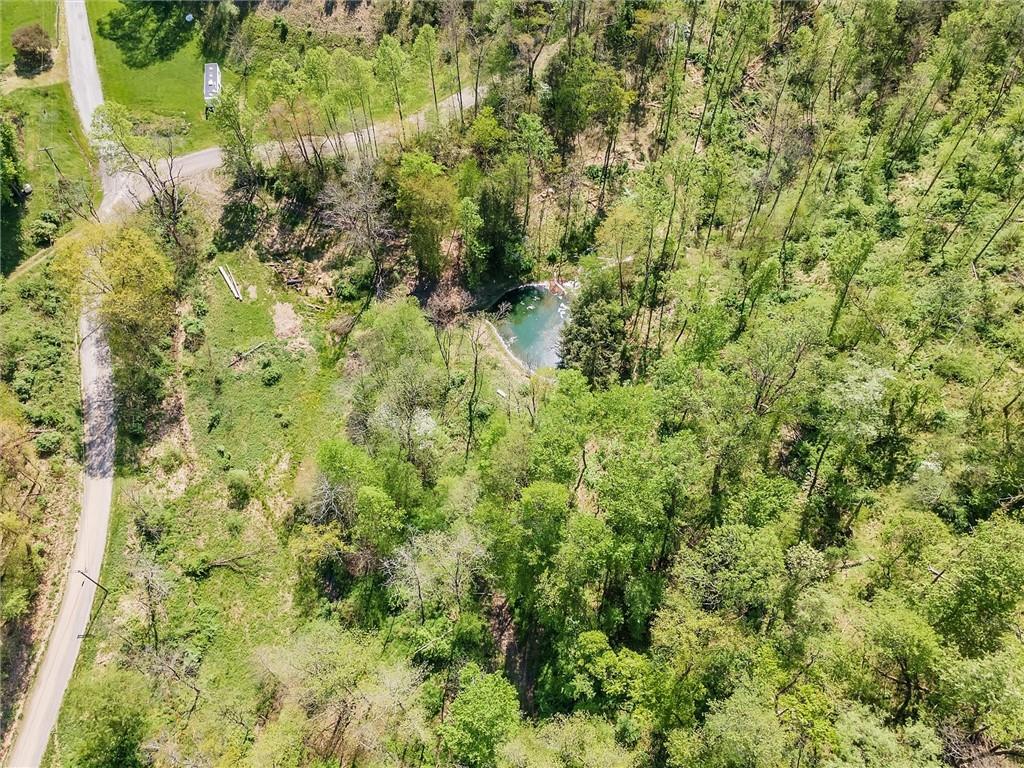 1799 Trusal Road Creekside, PA 15732 - Photo 22 of 24 a view of a forest with a tree