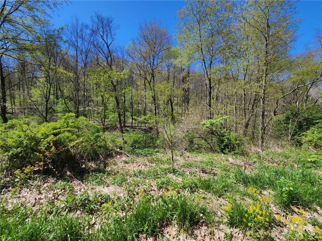 1799 Trusal Road Creekside, PA 15732 - Photo 23 of 24 a view of a garden