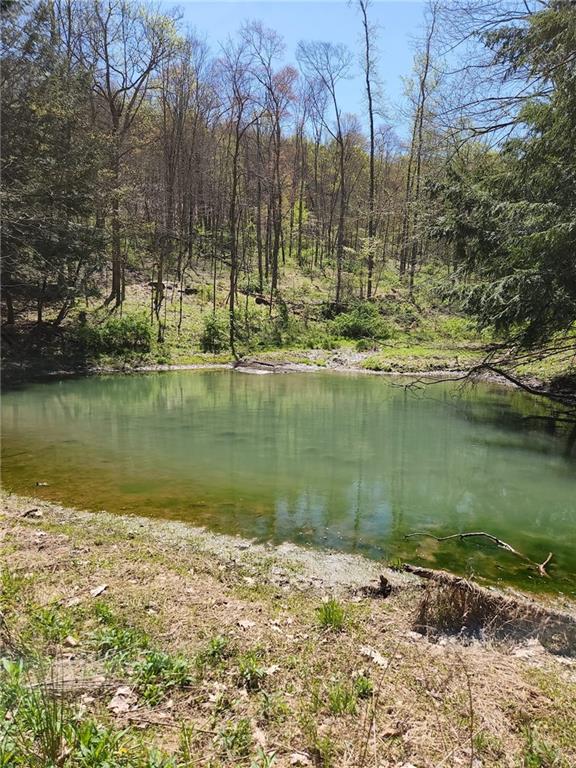 1799 Trusal Road Creekside, PA 15732 - Photo 7 of 24