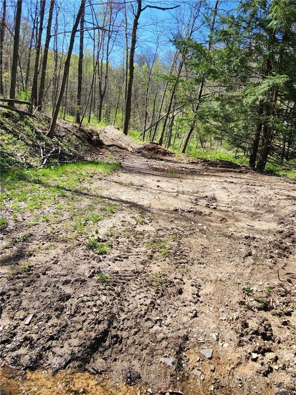 1799 Trusal Road Creekside, PA 15732 - Photo 8 of 24