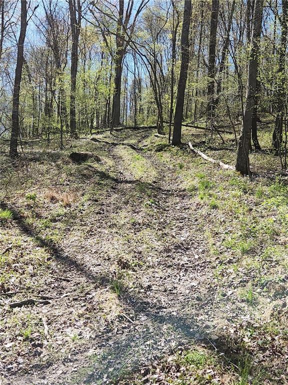 1799 Trusal Road Creekside, PA 15732 - Photo 10 of 24 a view of a backyard with large trees