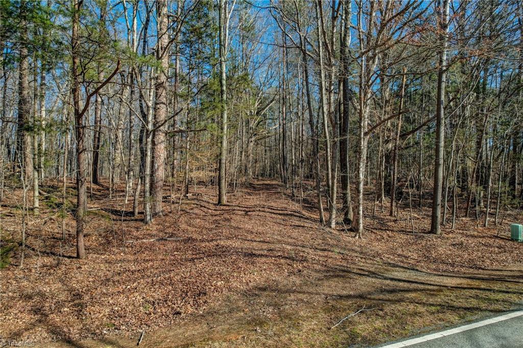0 High Rock School Road Blanch, NC 27212 - Photo 3 of 12