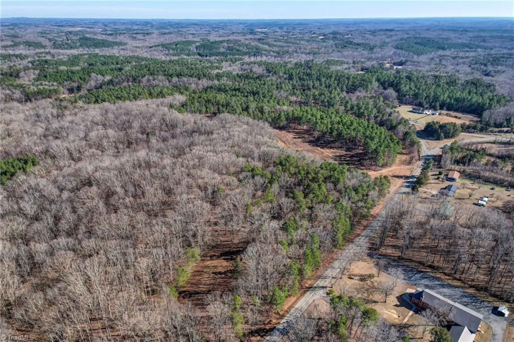 0 High Rock School Road Blanch, NC 27212 - Photo 6 of 12
