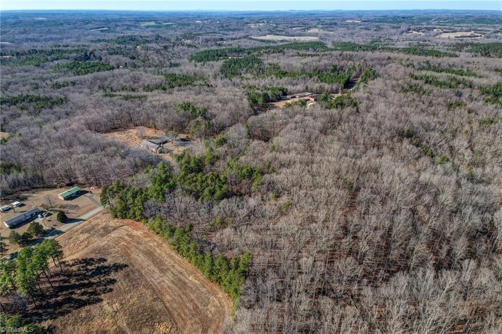 0 High Rock School Road Blanch, NC 27212 - Photo 8 of 12