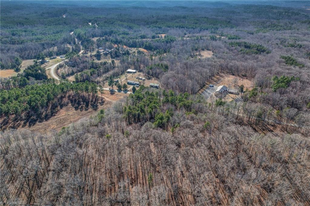 0 High Rock School Road Blanch, NC 27212 - Photo 9 of 12