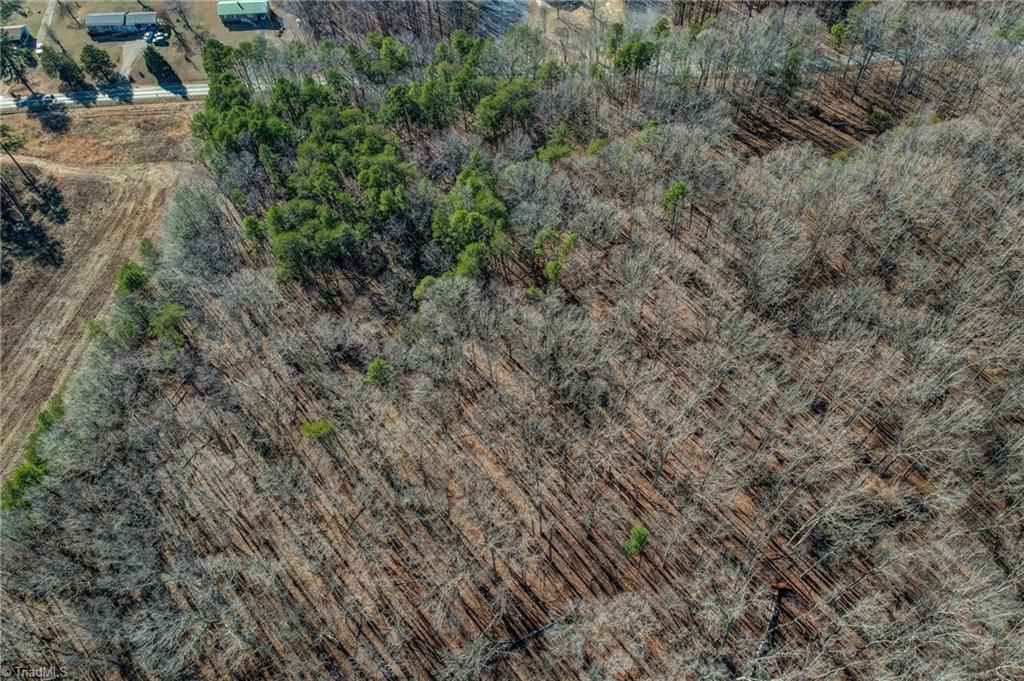 0 High Rock School Road Blanch, NC 27212 - Photo 10 of 12