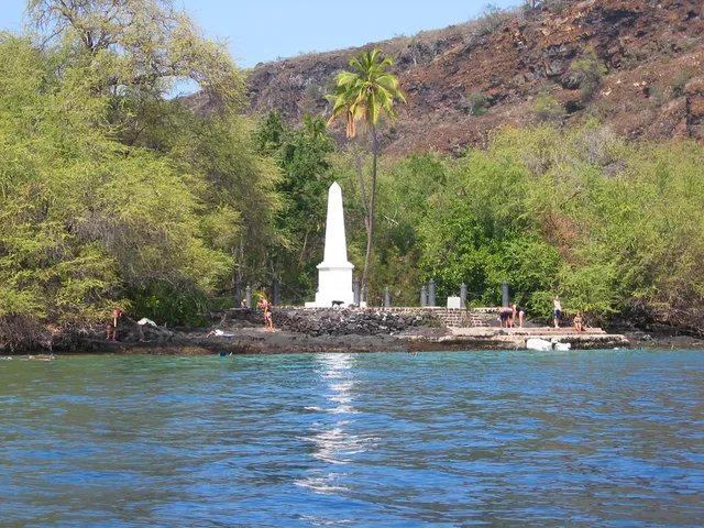 a view of a swimming pool with a house