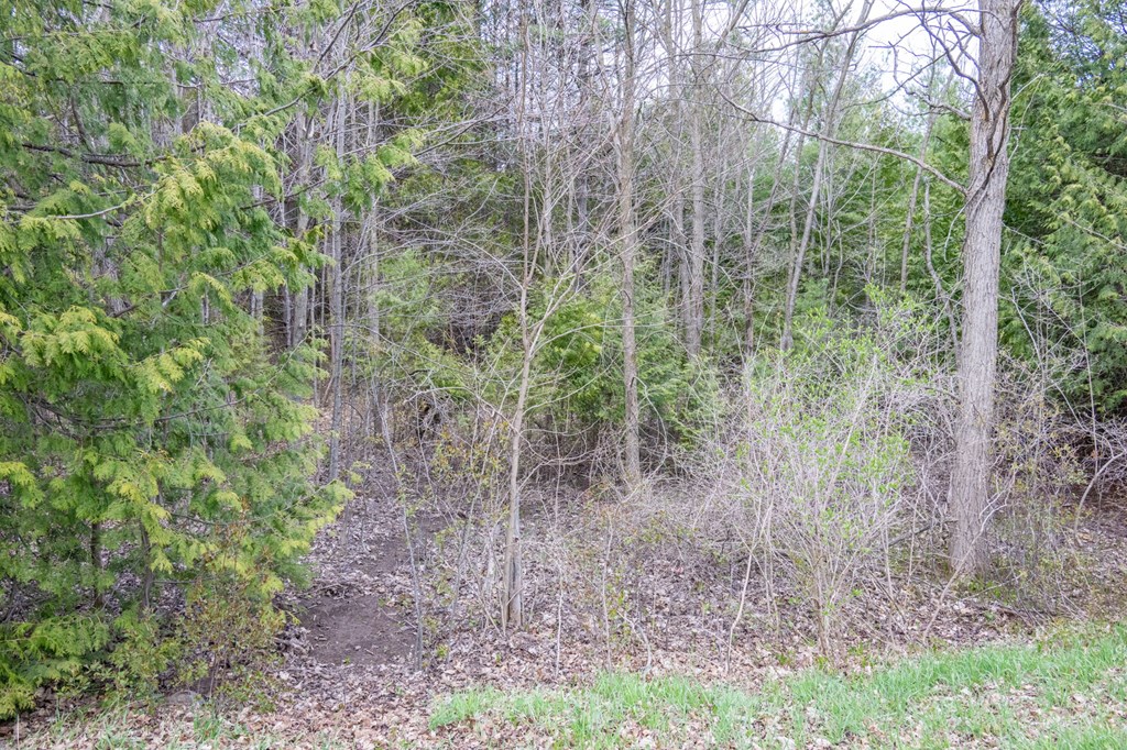 Lot 2 Hill Road Sister Bay, WI 54234 - Photo 9 of 35