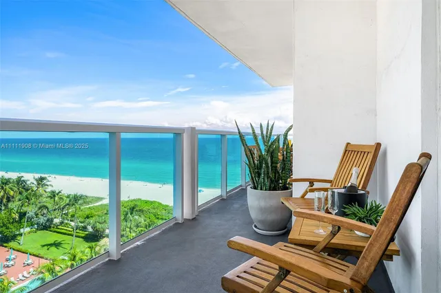 a view of a potted plants with sky view