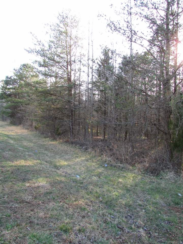 Gentry Dunkley Road Roxboro, NC 27574 - Photo 5 of 15 ROAD FRONTAGE