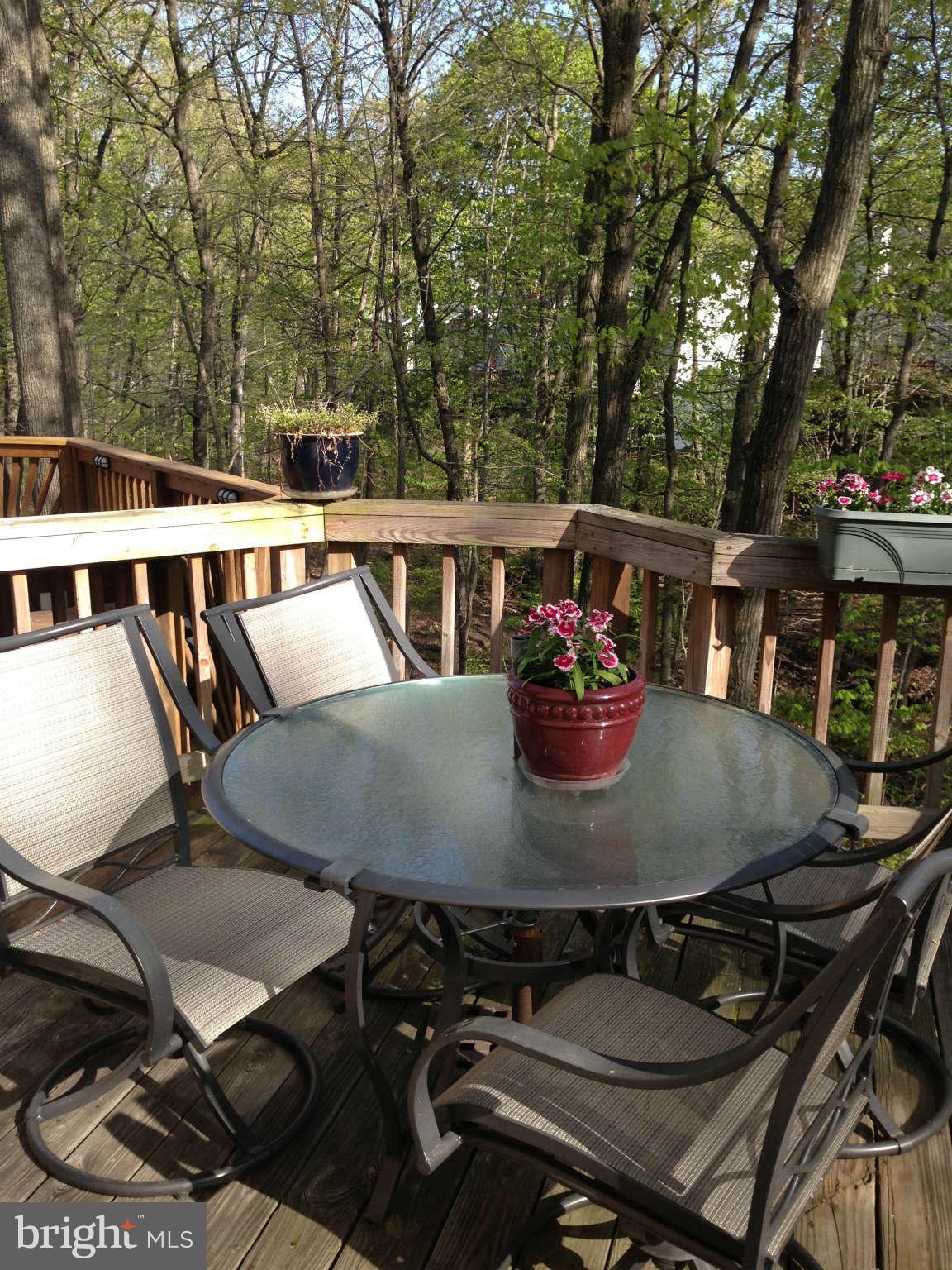 1109 Ingate Road Halethorpe, MD 21227 - Photo 6 of 16 View